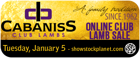 Cabaniss Club Lambs Online Club Lamb Sale